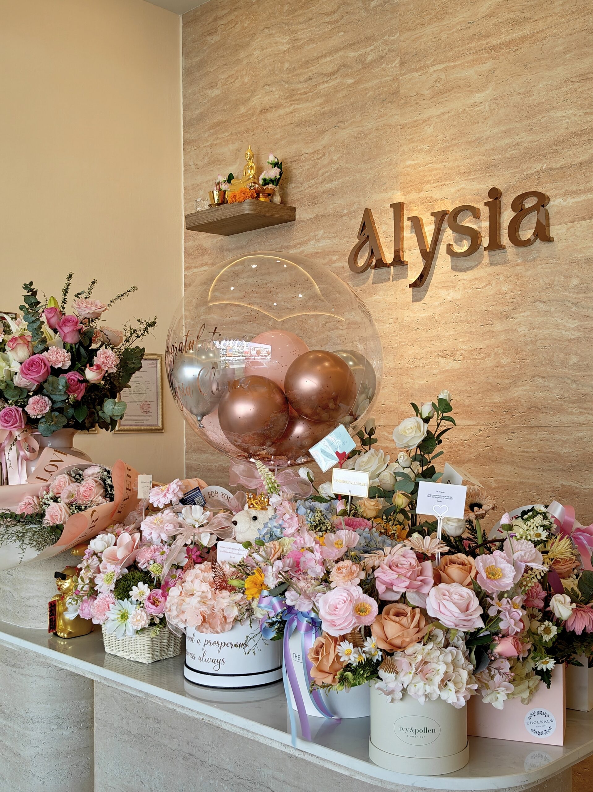 alysia clinic interior
